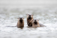 Three Fishermen