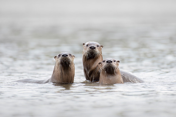Three Fishermen