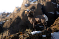 King Upon The Mountainside