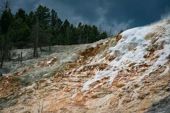 Mammoth Hot Springs Terraces