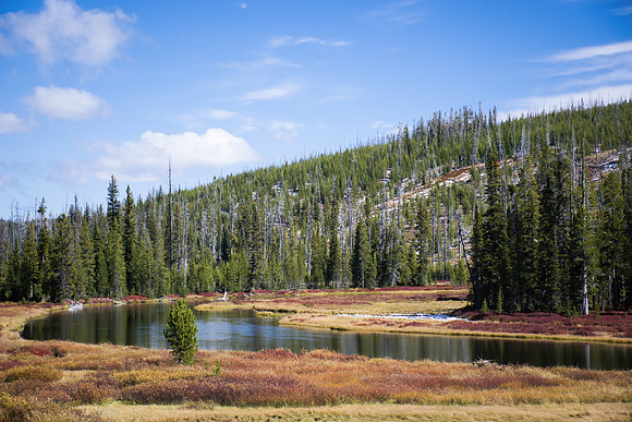 Fall in Yellowstone