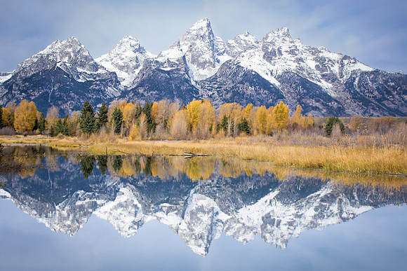 Teton Reflections