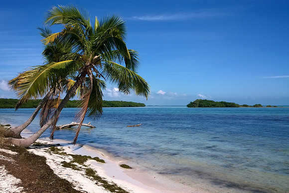 Florida Keys Paradise