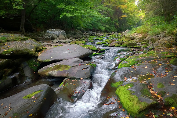 Rivendell Stream