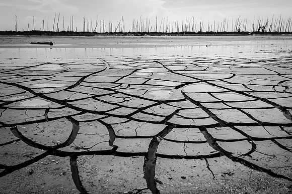Cracked Mud Flats