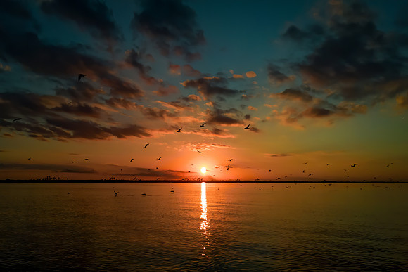 Gulf Coast Sunset