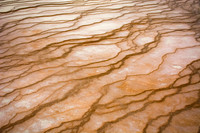 Yellowstone Hot Spring Mineral Terraces