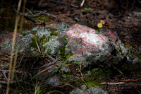 Bighorn Mountain Quartz