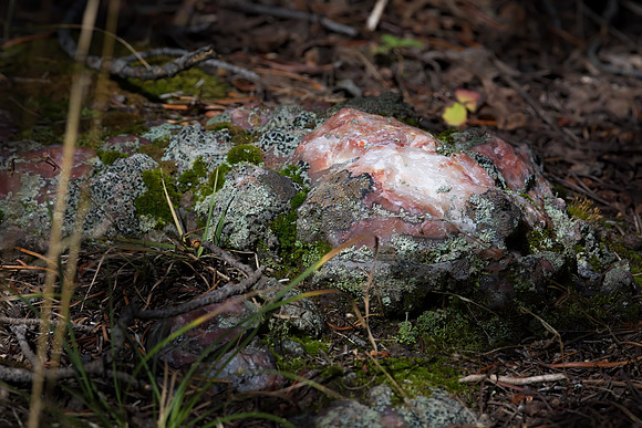 Bighorn Mountain Quartz