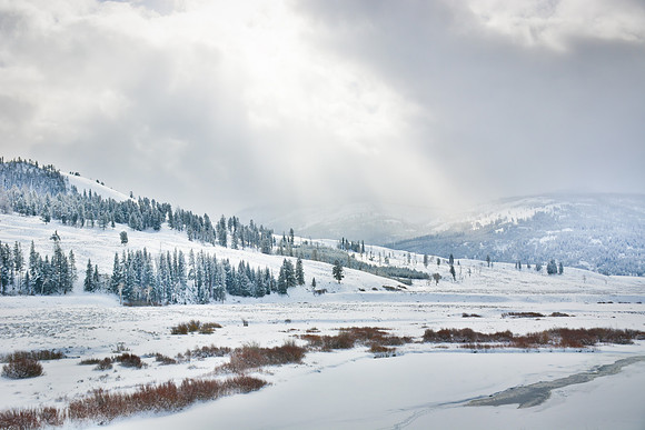 Lamar River Valley In Winter