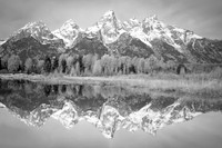 Teton Reflections
