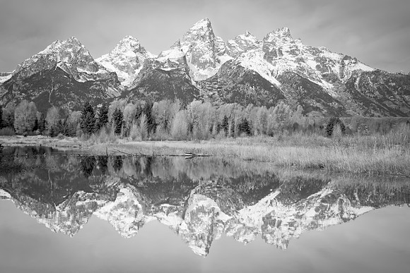 Teton Reflections