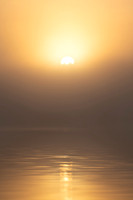 First Light On The Yellowstone
