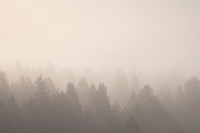 Wildfire Season