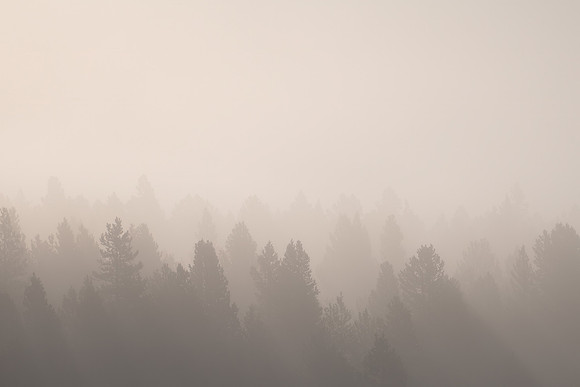 Wildfire Season